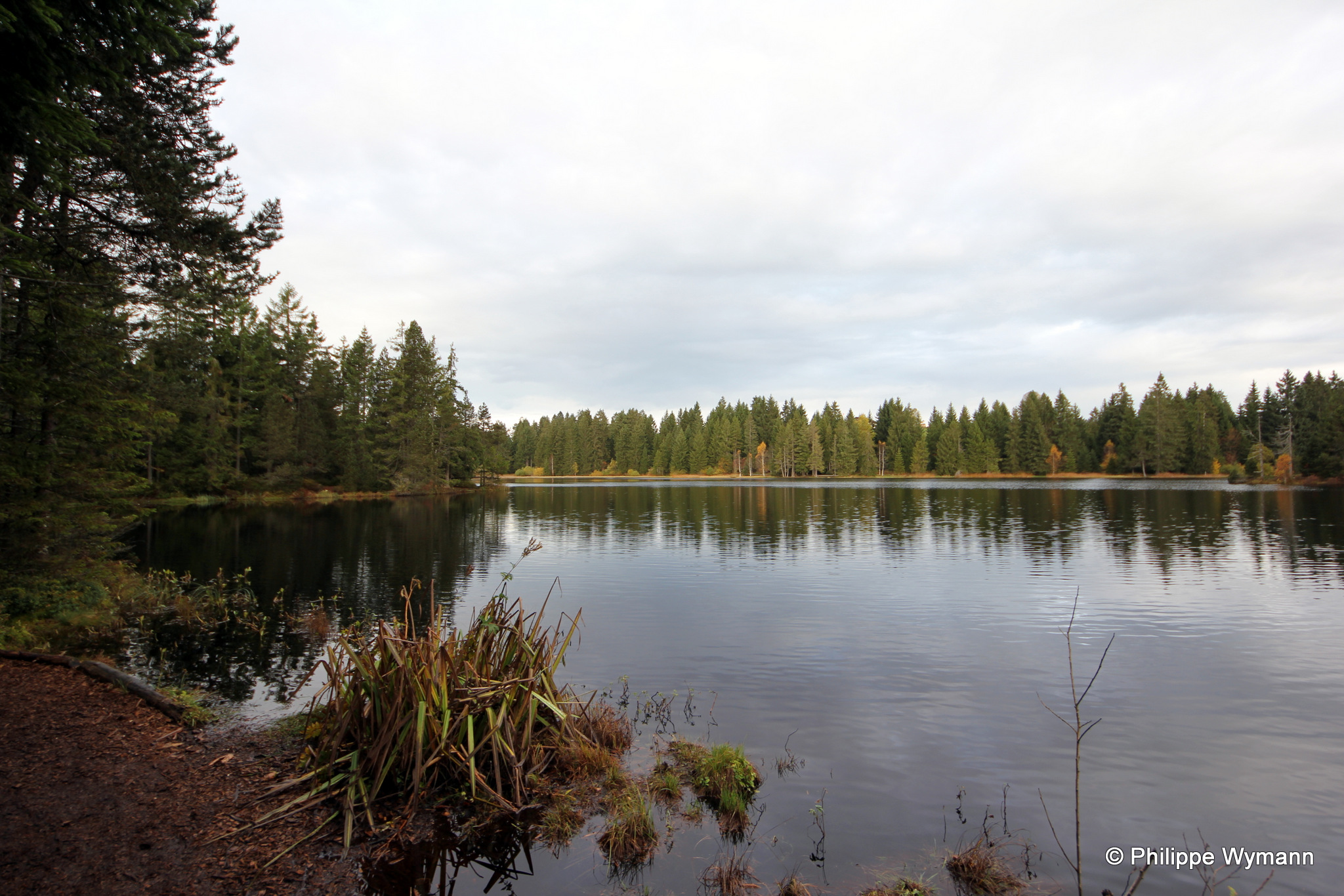 Etang de la Gruère, Saignelégier